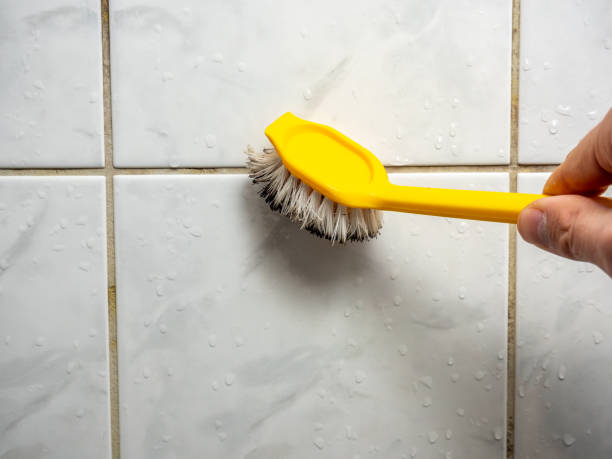 Best Commercial Mold Removal  in Americus, GA