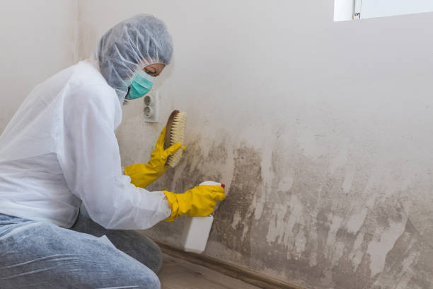 Best Mold Testing and Removal  in Americus, GA
