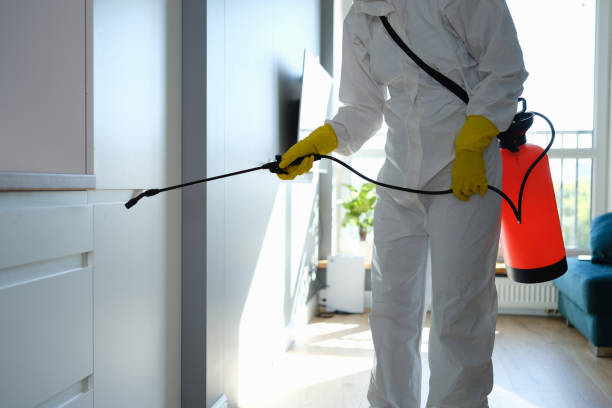 Mold Removal and Inspection in Americus, GA