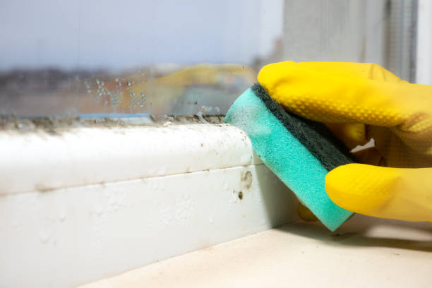 Best Fast Mold Removal  in Americus, GA