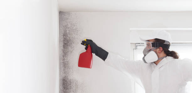 Best Professional Mold Removal  in Americus, GA
